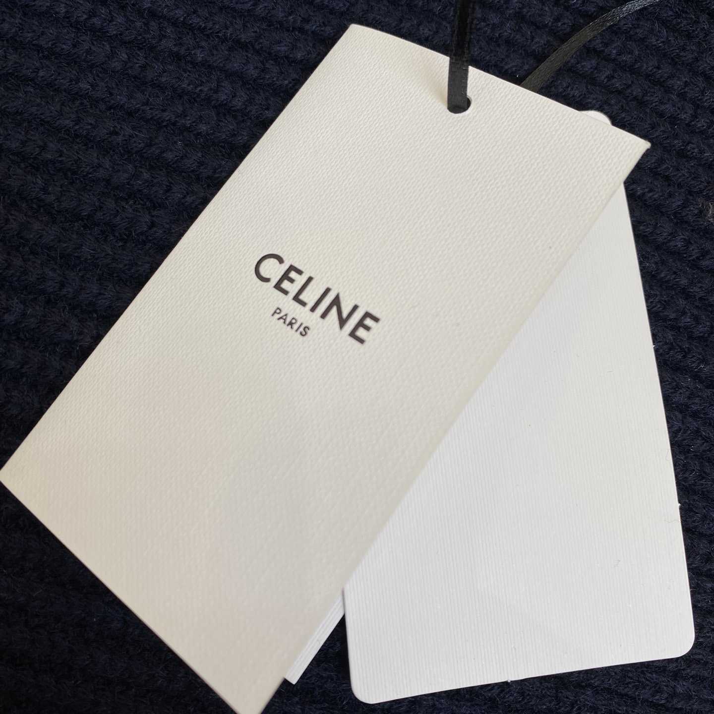 Celine College Hooded Sweater In Wool - EUR FASHION